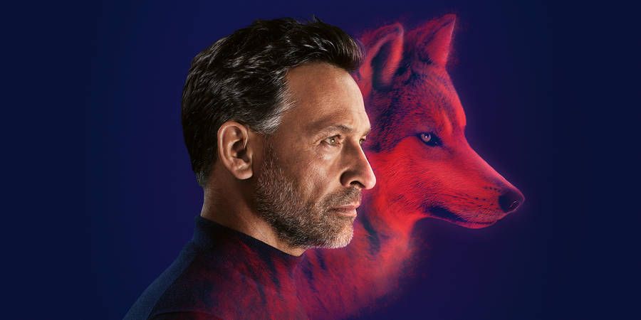 Audífonos Alpha, Audífonos Híbridos en Fonacústica, Avilés, León, Oviedo